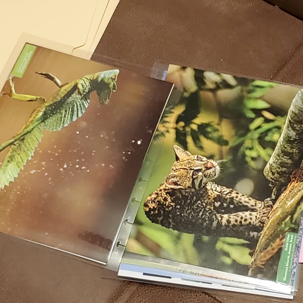 Homemade cover and 5 dashboards/dividers for a classic sized disc bound planner